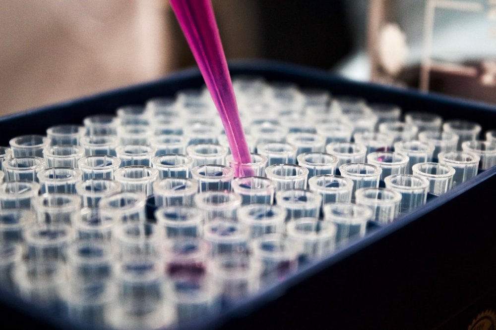 Une région à considérer dans le secteur de la BioTech, Washington DC.