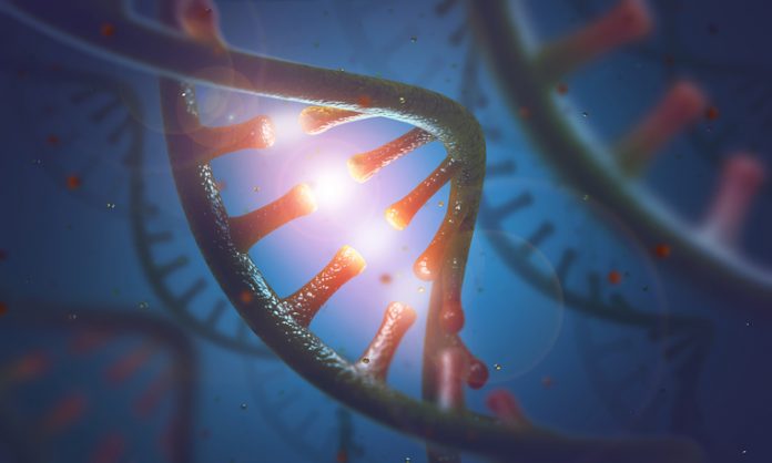 Le chimiste Matthew Disney du Scripps Research contribue à la recherche sur les médicaments ciblant l’ARN et reçoit une bourse du NIH de 11 millions de dollars