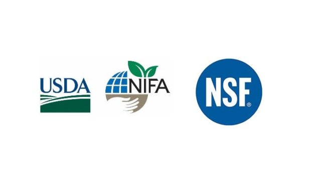 USDA NIFA NSF logo