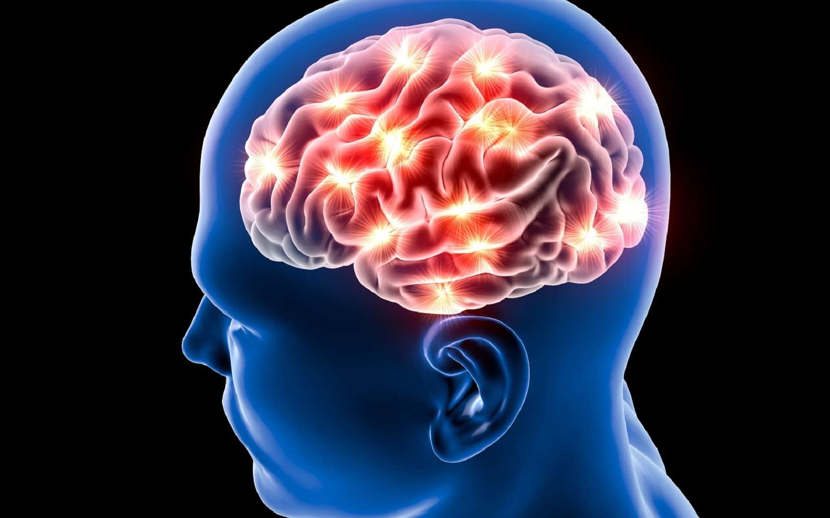 Une nouvelle collaboration de grande envergure entre États-Unis, France et Canada dans le domaine des neurosciences