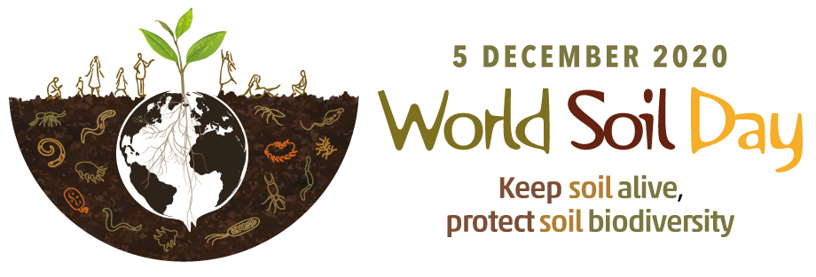 FAO, World Soil Day FAO, World Soil Day