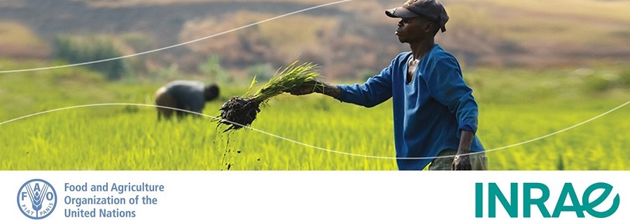 Les bureaux nord-américains INRAE et FAO co-organisent une discussion inédite sur l’intégration systématique des enjeux biodiversité en agriculture