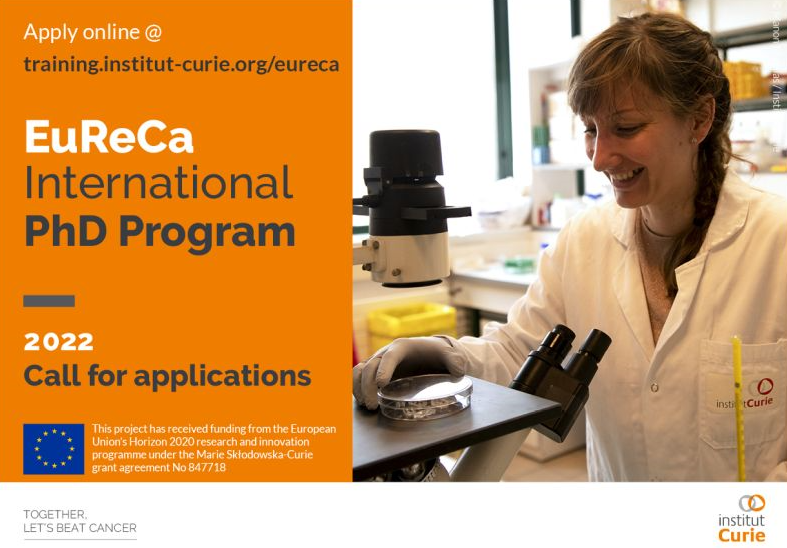 L’Institut Curie recrute 14 doctorants dans le cadre du son programme doctoral international EuReCa : postulez dès maintenant !