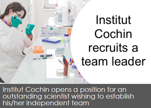 Appel d’offre de l’Institut Cochin pour un chercheur responsable d’équipe