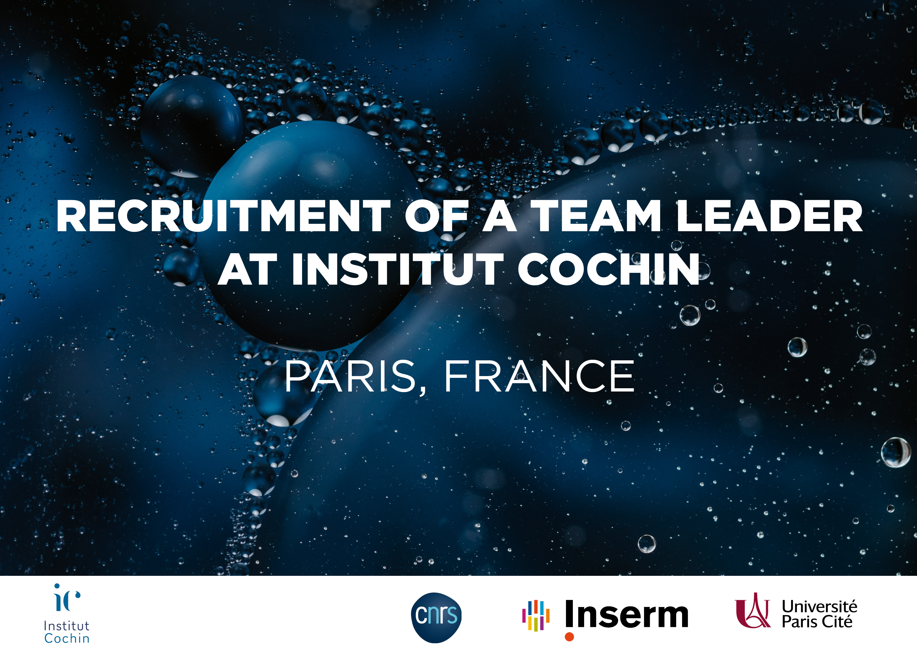 Recruitment of a group leader at Institut Cochin, Paris, France