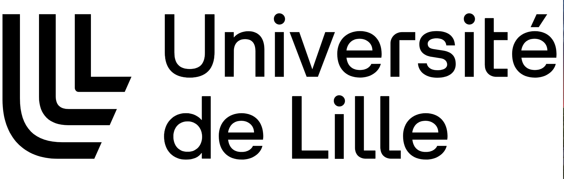 Webinaires sur Masters d’Excellence à l’Université de Lille et programme de bourses