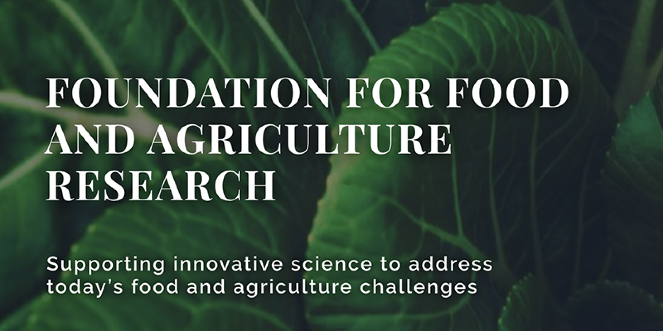 Foundation-for-food-and-agriculture-research-1