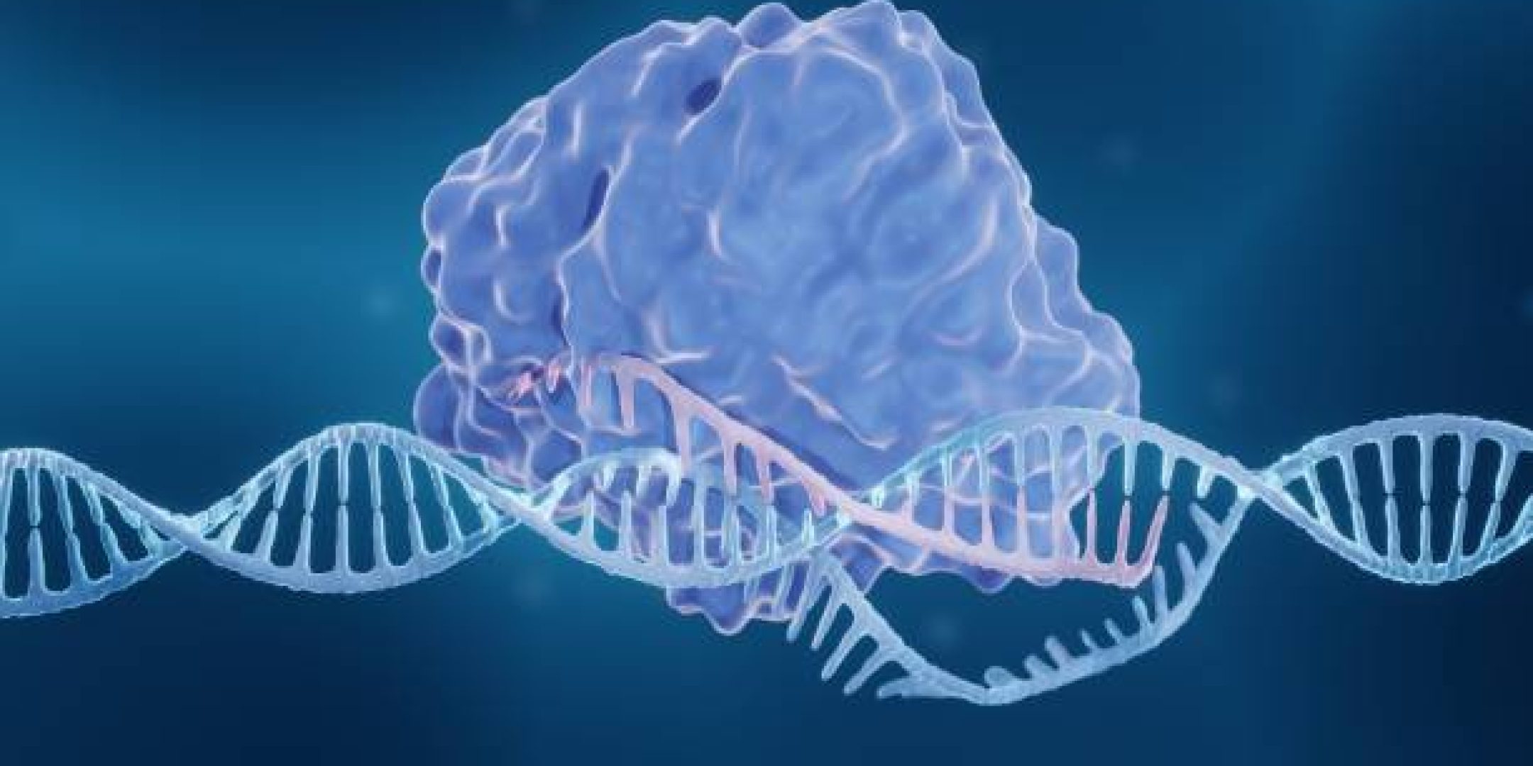 CRISPR-cas9, les “ciseaux génétiques” pour réécrire le code de la vie (Crédit photo : Artur Plawgo via Istock)